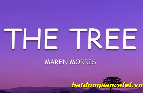 Maren Morris The Tree Video