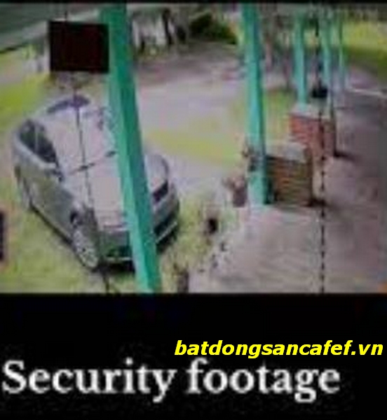 Anna Security Footage