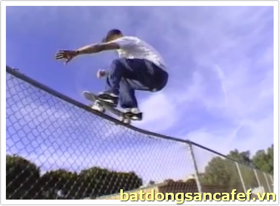 Mike Vallely Video